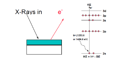 xrays